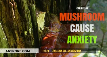 Reishi Mushroom and Anxiety: Uncovering Potential Side Effects and Risks