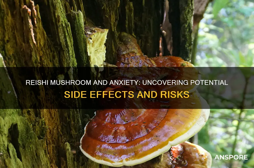 can reishi mushroom cause anxiety