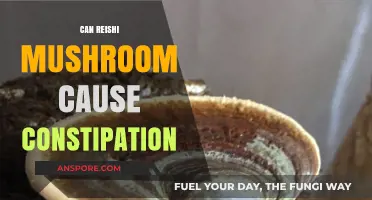 Reishi Mushroom and Constipation: Potential Side Effects Explained