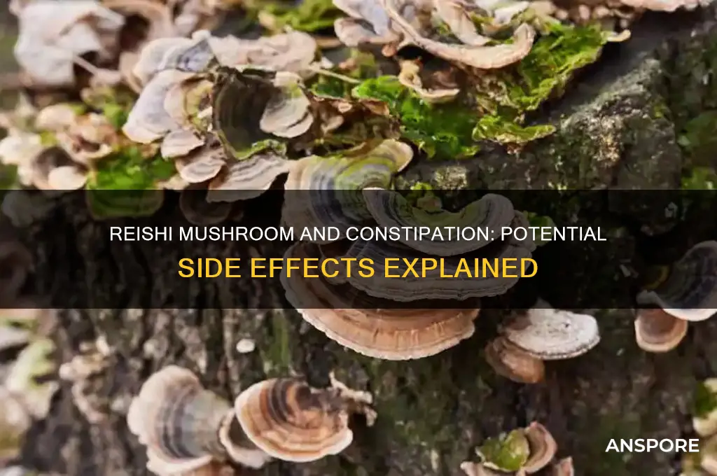 can reishi mushroom cause constipation