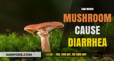 Reishi Mushroom Side Effects: Can It Cause Diarrhea?