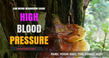 Reishi Mushrooms and Blood Pressure: Potential Risks Explained