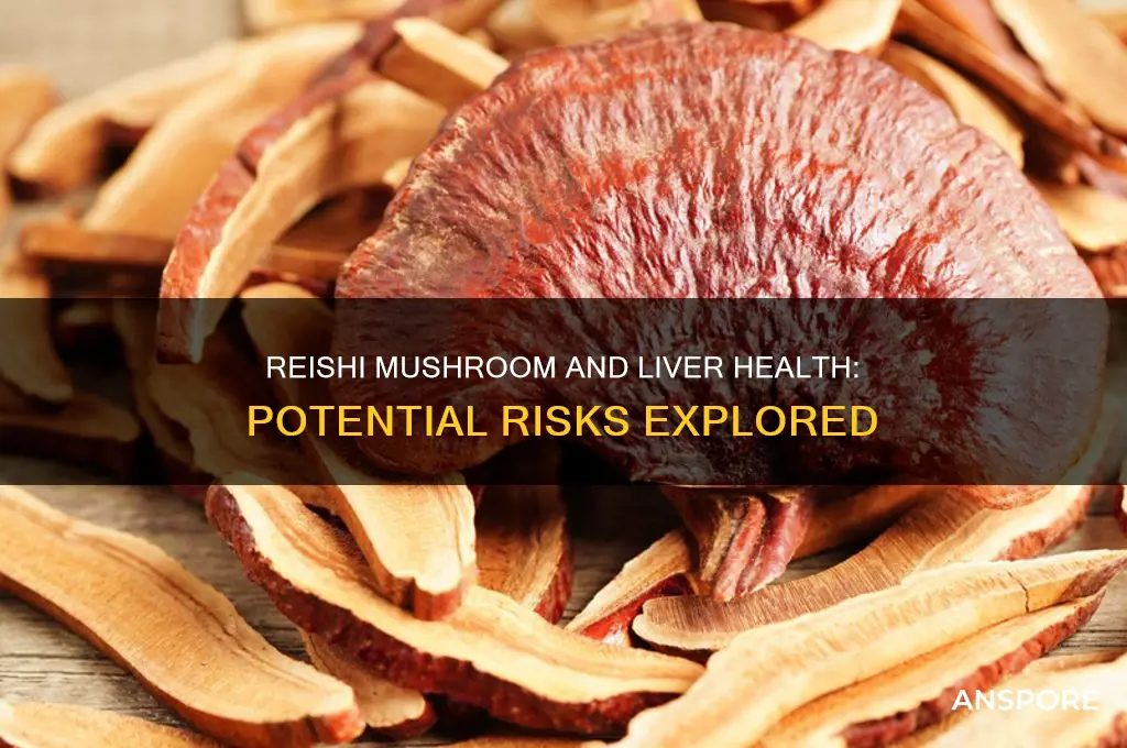 can reishi mushroom cause liver damage