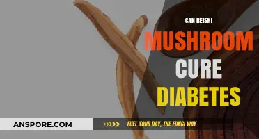 Reishi Mushroom and Diabetes: Potential Benefits and Research Insights