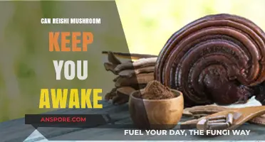 Reishi Mushroom: Energy Booster or Sleep Aid? Unveiling the Truth