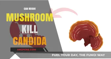 Reishi Mushroom vs. Candida: Can It Effectively Eliminate Overgrowth?