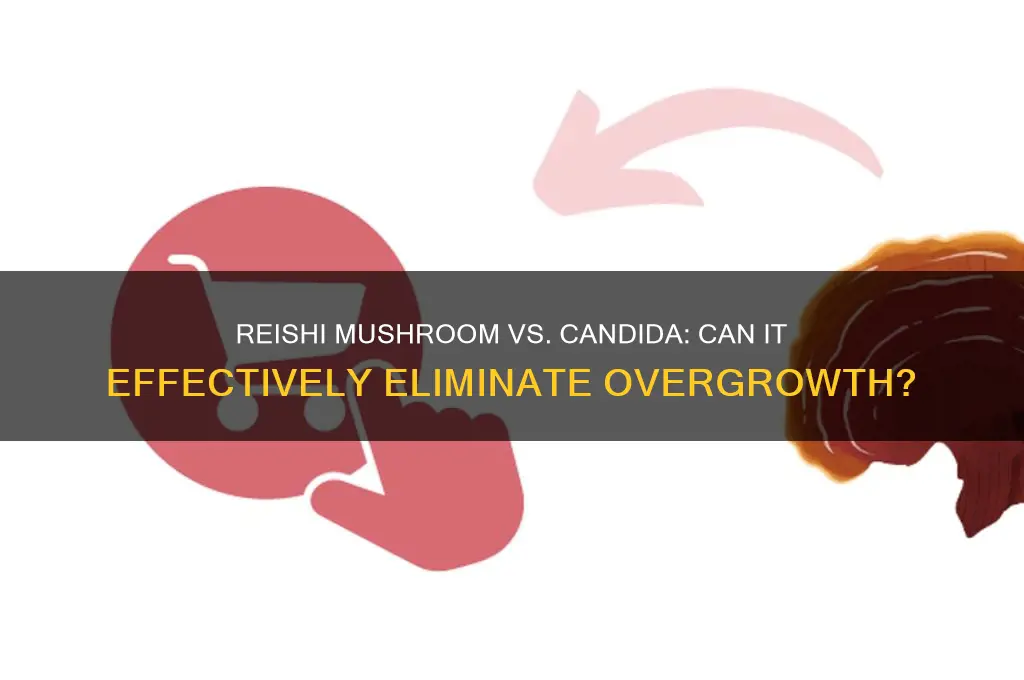 can reishi mushroom kill candida