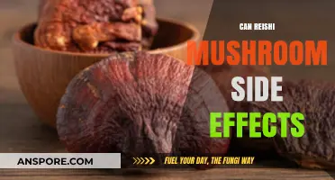 Reishi Mushroom Side Effects: What You Need to Know