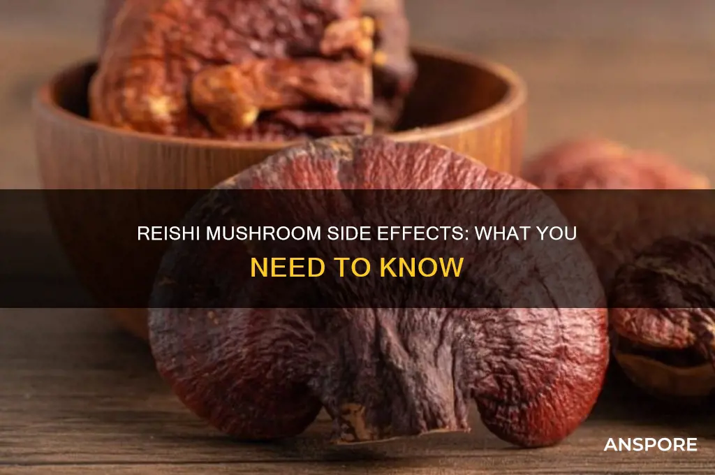 can reishi mushroom side effects
