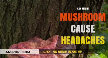 Reishi Mushrooms and Headaches: Uncovering the Truth Behind the Myth