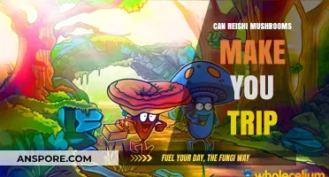 Reishi Mushrooms and Tripping: Separating Fact from Fiction