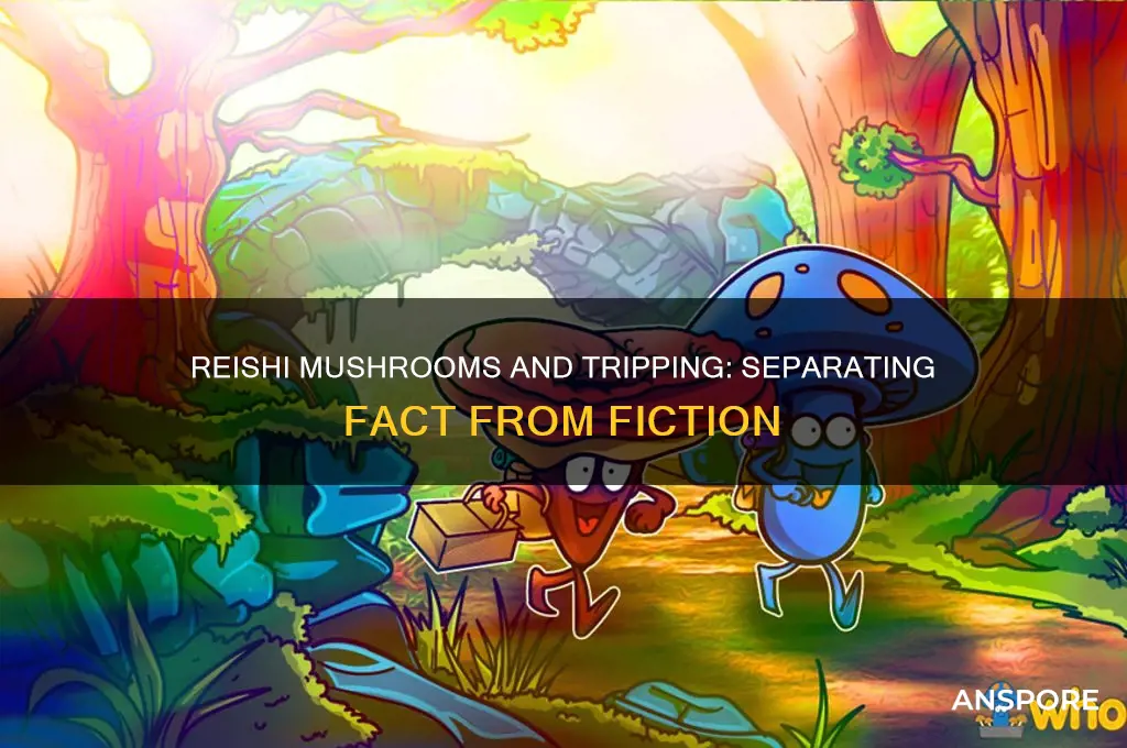 can reishi mushrooms make you trip