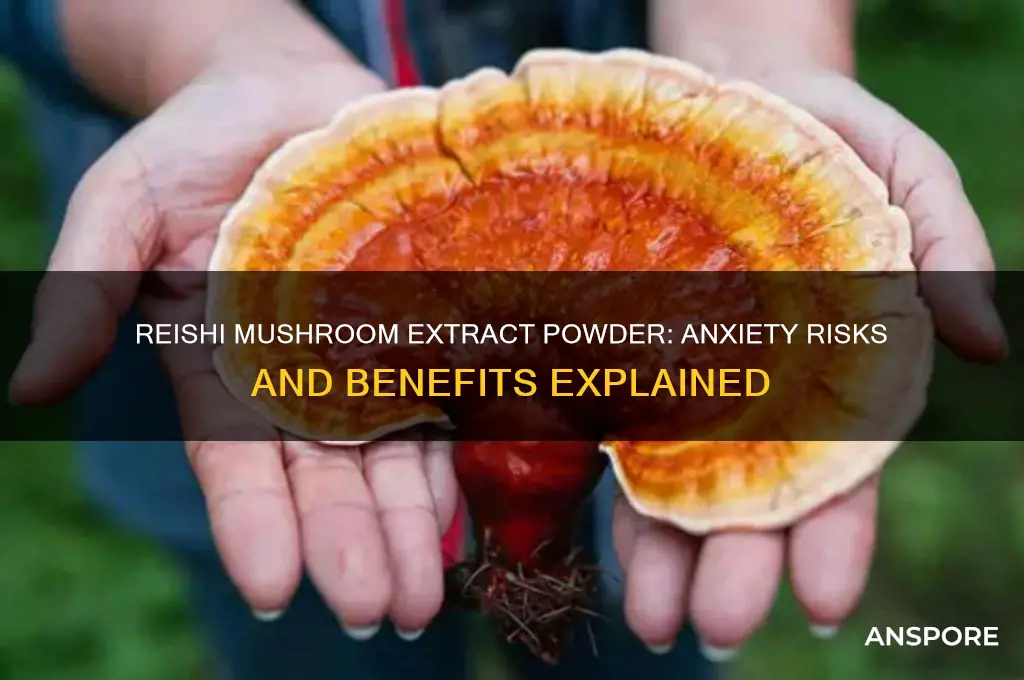 can reshi mushroom extract powder give you anxiety