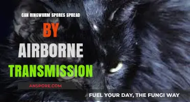 Can Ringworm Spores Spread Through the Air? Uncovering the Truth