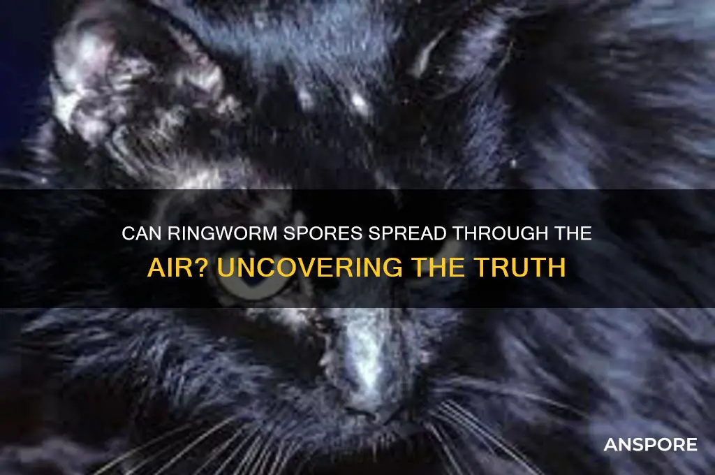 can ringworm spores spread by airborne transmission