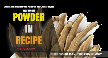 Rishi vs. Shiitake: Can Mushroom Powder Substitutes Work in Recipes?