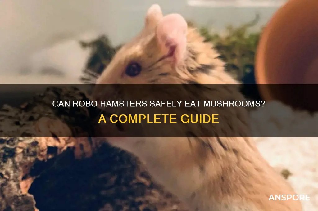 can robo hamsters eat mushrooms