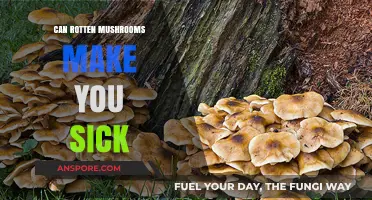 Can Rotten Mushrooms Make You Sick? Risks and Symptoms Explained