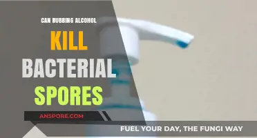 Can Rubbing Alcohol Effectively Kill Bacterial Spores? The Truth Revealed