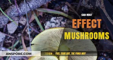 Rust's Impact on Mushrooms: Uncovering the Surprising Relationship