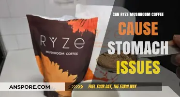 Ryze Mushroom Coffee: Potential Stomach Issues Explained and Solutions