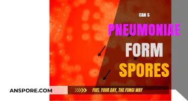 Does S. Pneumoniae Produce Spores? Unraveling the Bacterial Survival Mystery