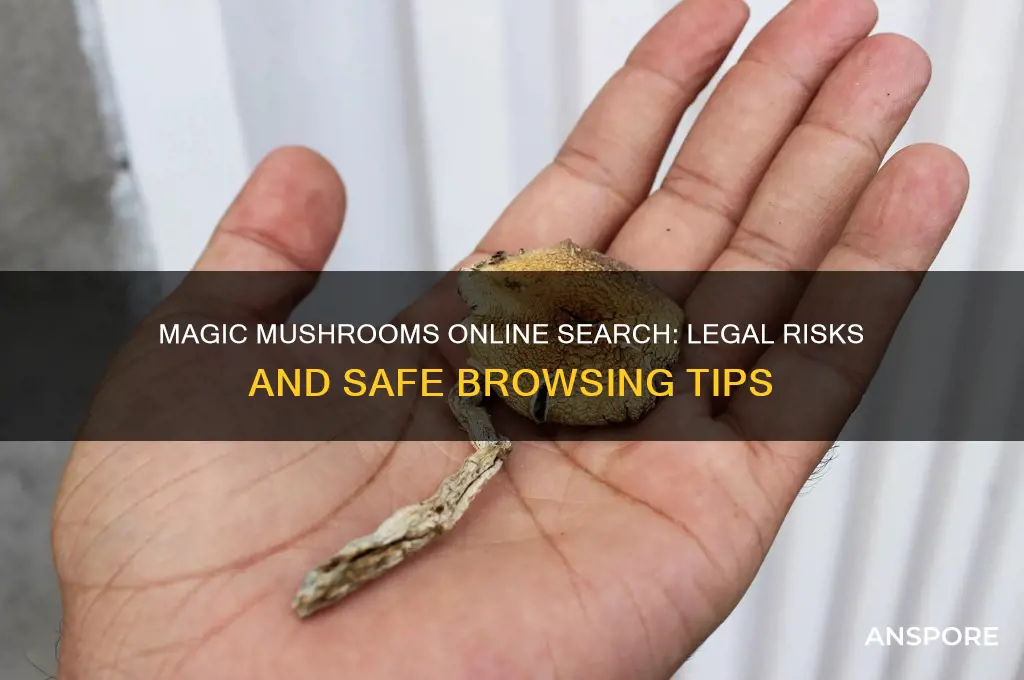 can searching stuff about magic mushrooms get in trouble