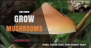 Can Semen Grow Mushrooms? Exploring the Science Behind the Myth