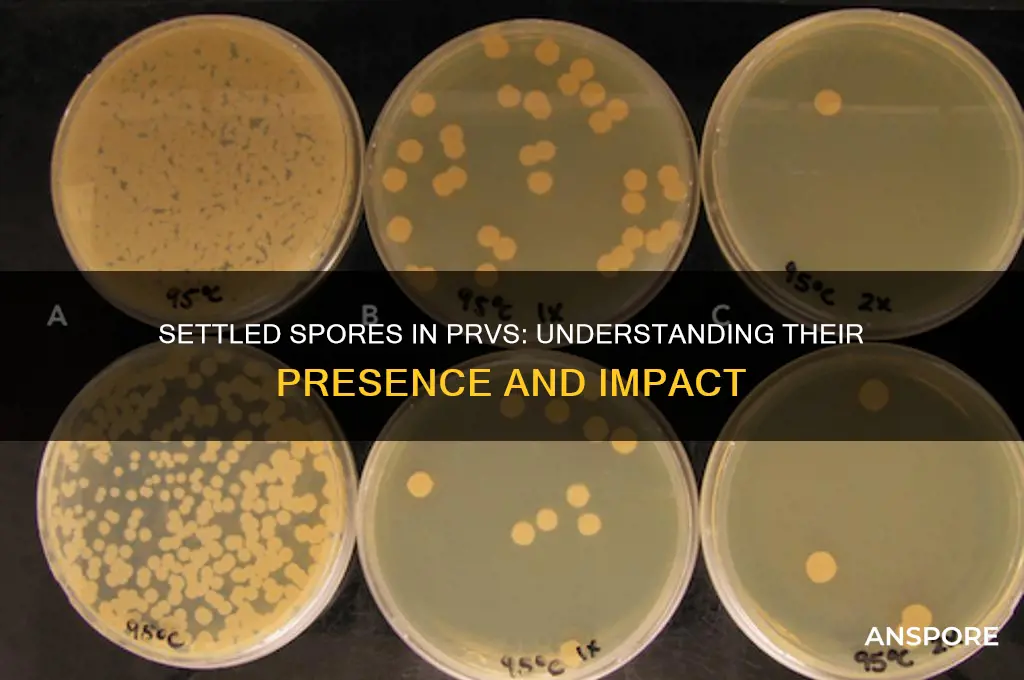 can settled spores be present in a prv