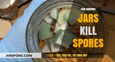 Shaking Jars to Kill Spores: Fact or Myth Explained