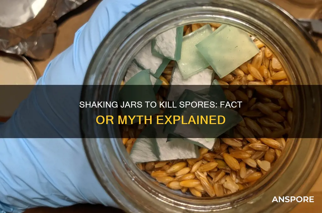 can shaking jars kill spores