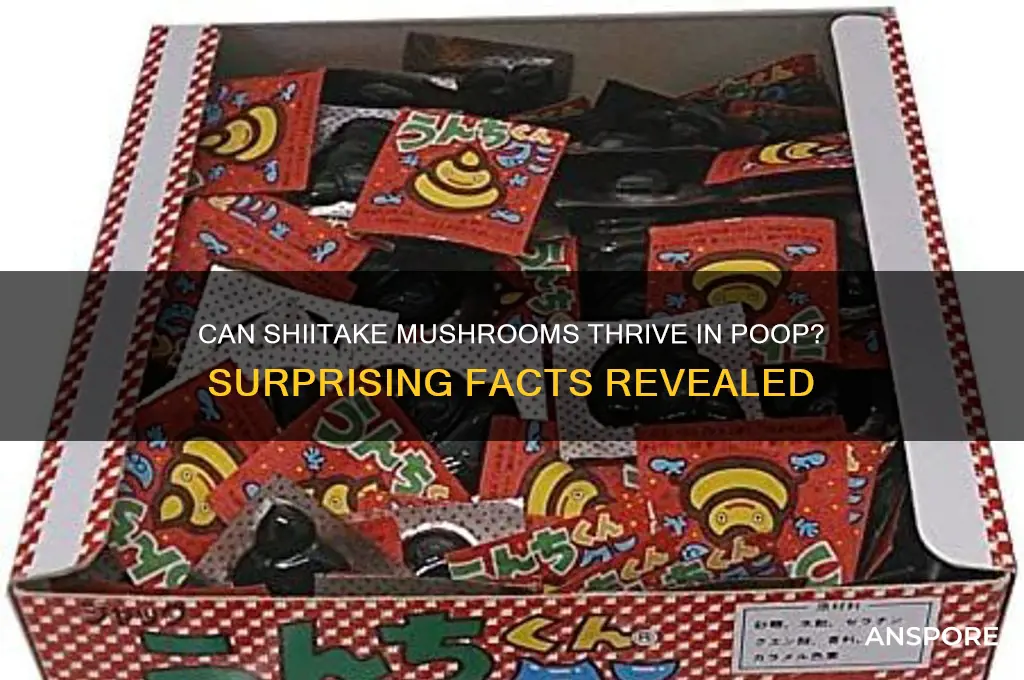 can shiitake mushroom grow in poop