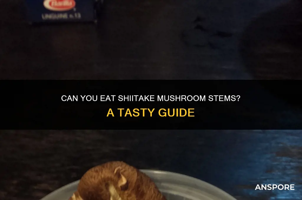 can shiitake mushroom stems be eaten