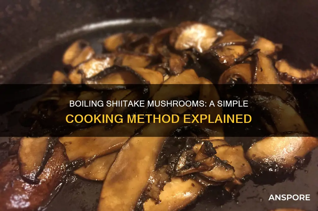 can shiitake mushrooms be boiled