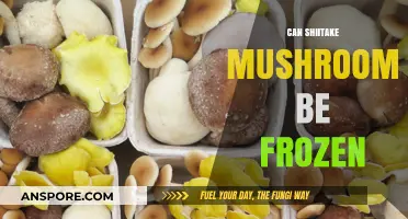 Freezing Shiitake Mushrooms: A Guide to Preserving Freshness and Flavor