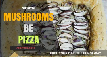 Shiitake Mushrooms on Pizza: A Delicious Umami Twist to Try