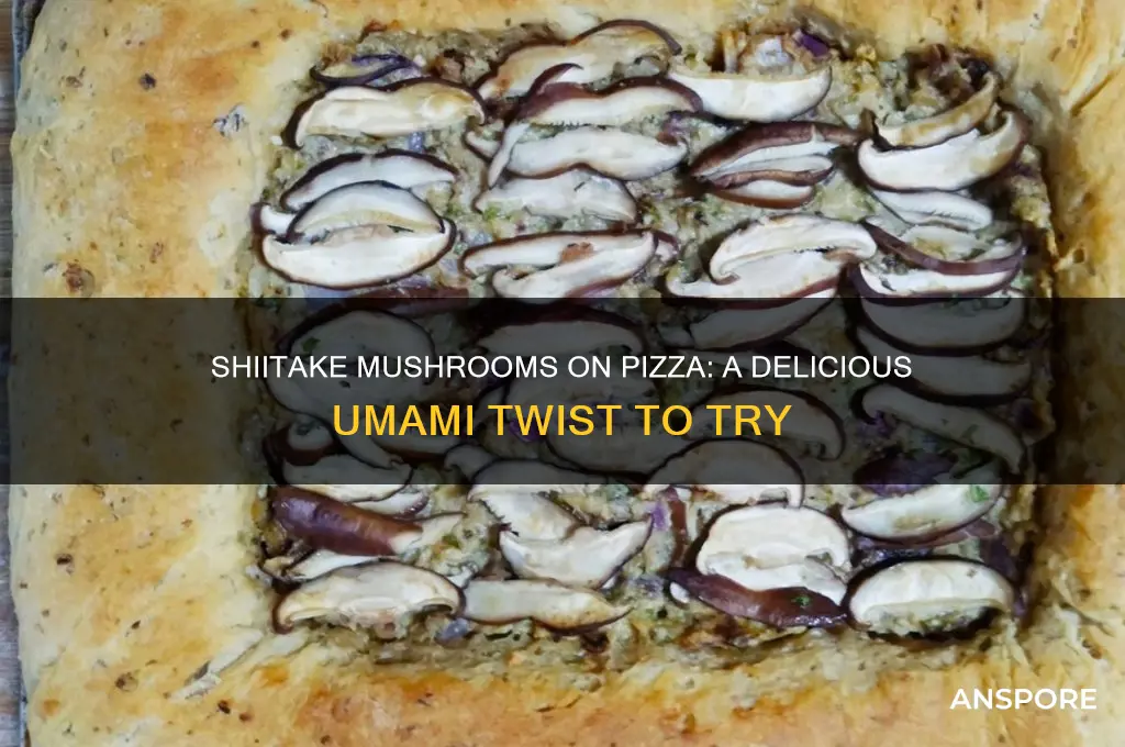 can shiitake mushrooms be pizza