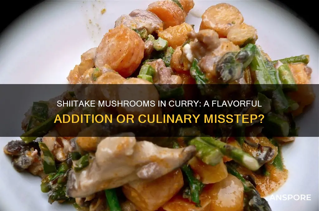 can shiitake mushrooms be put in curry