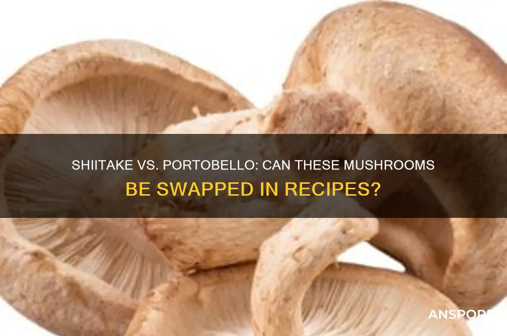 can shiitake mushrooms be replaced with portobello