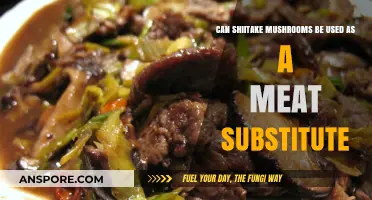 Shiitake Mushrooms: A Tasty, Nutritious Meat Substitute Alternative