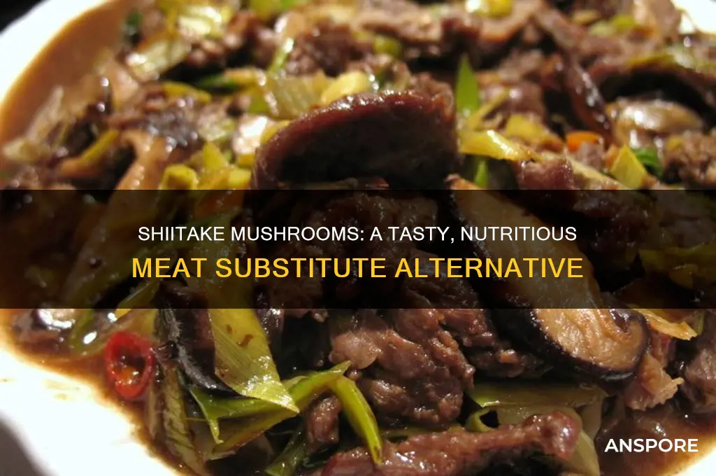 can shiitake mushrooms be used as a meat substitute