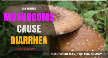 Can Shiitake Mushrooms Cause Diarrhea? Exploring the Digestive Impact