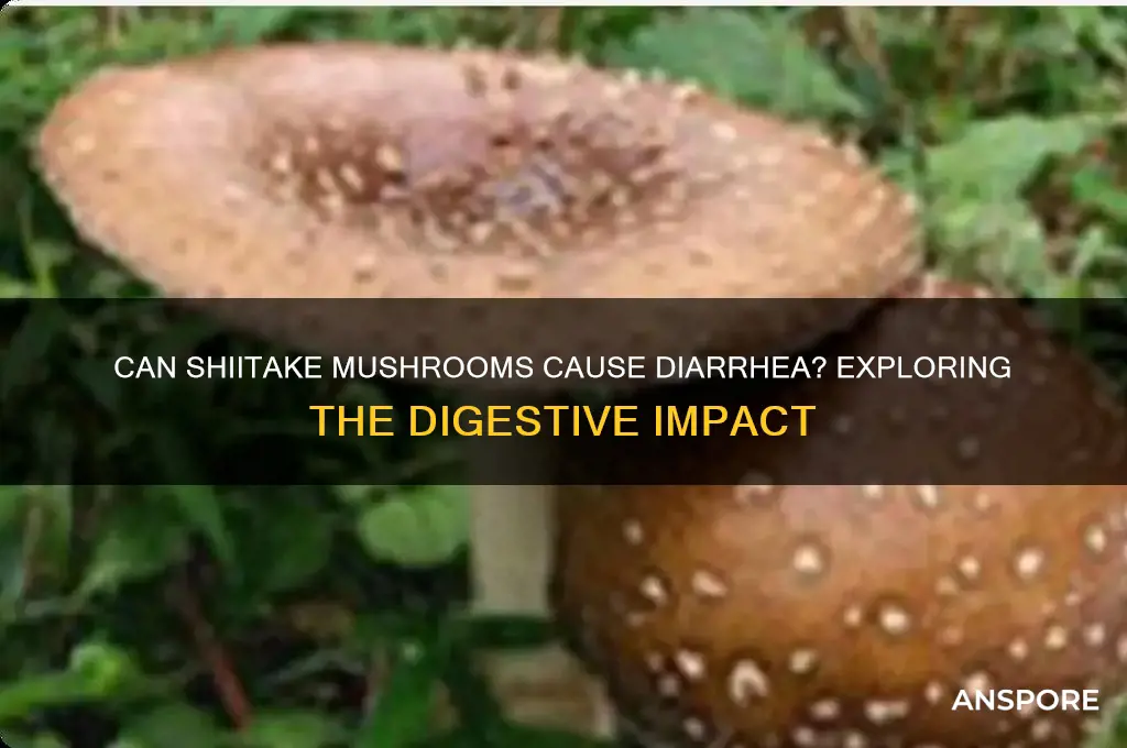 can shiitake mushrooms cause diarrhea