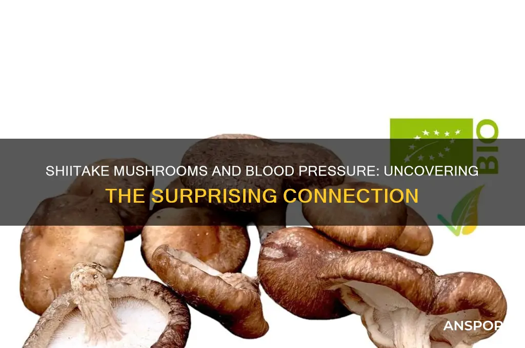 can shiitake mushrooms cause high blood pressure