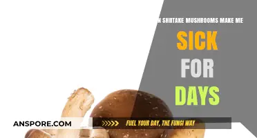 Shiitake Mushrooms: Can They Cause Prolonged Illness? Unveiling the Truth