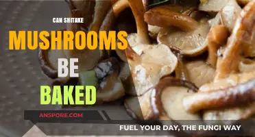 Baking Shiitake Mushrooms: Tips, Recipes, and Delicious Results