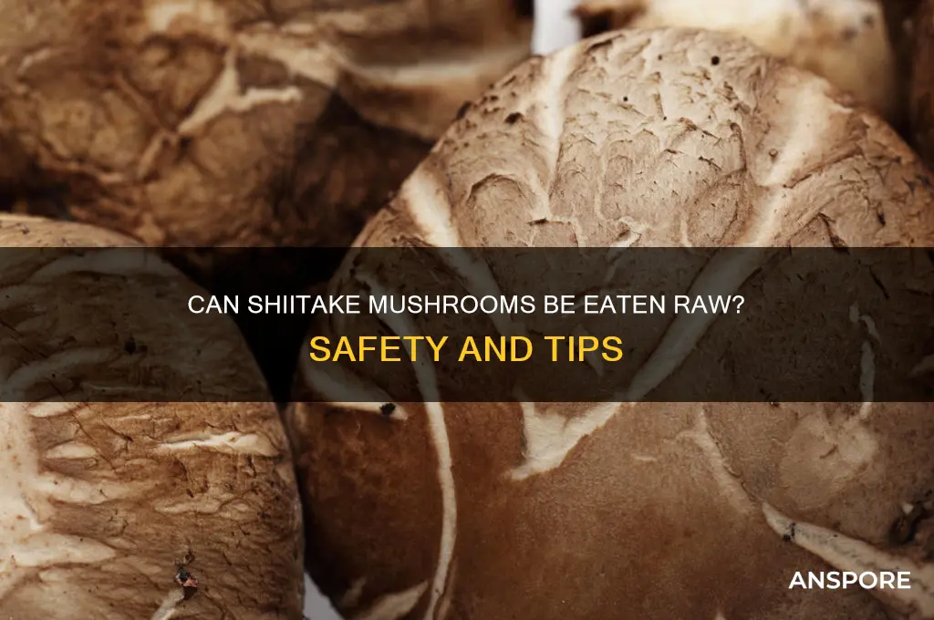 can shitake mushrooms be eaten raw