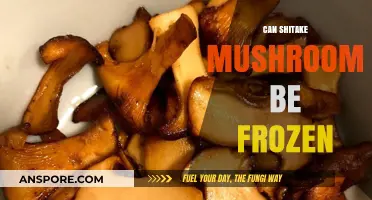 Freezing Shiitake Mushrooms: A Guide to Preserving Their Flavor and Texture