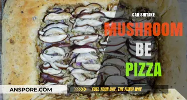 Shitake Mushrooms on Pizza: A Gourmet Topping Worth Trying?