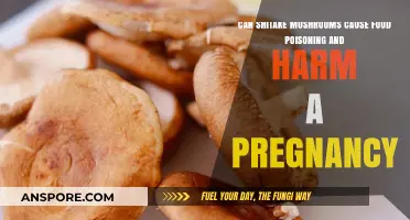 Shiitake Mushrooms and Pregnancy: Food Poisoning Risks Explained